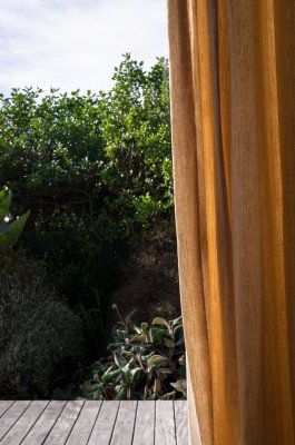 view from a window of a hous on the garden, yellow curtain, wooden terrace, green plants and sunlight 