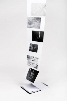 fine art photography water wasser river rhine rhein photobook fotobuch