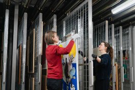 CHIARA BELLAMOLI | Fotografie