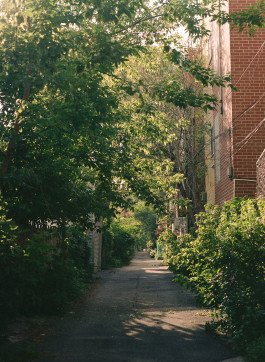 CHIARA BELLAMOLI | Fotografie