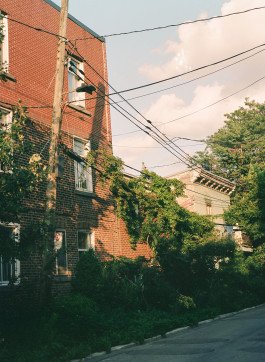 CHIARA BELLAMOLI | Fotografie